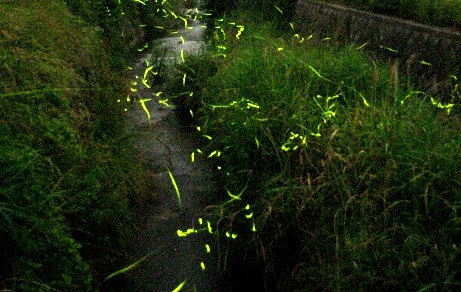 505898065_1278924297570702_5503111329576863374_n