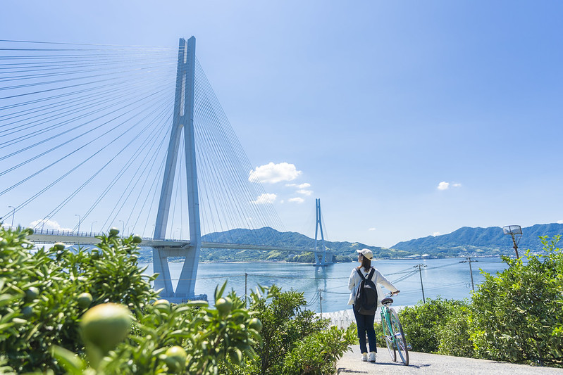 52737997189_c341fc991a_c