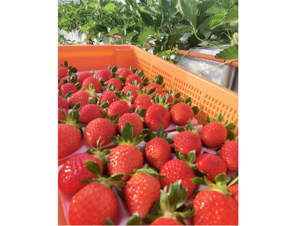 EF9F55A5-5F30-4BBA-8E20-3464CF298D42★-余白あり