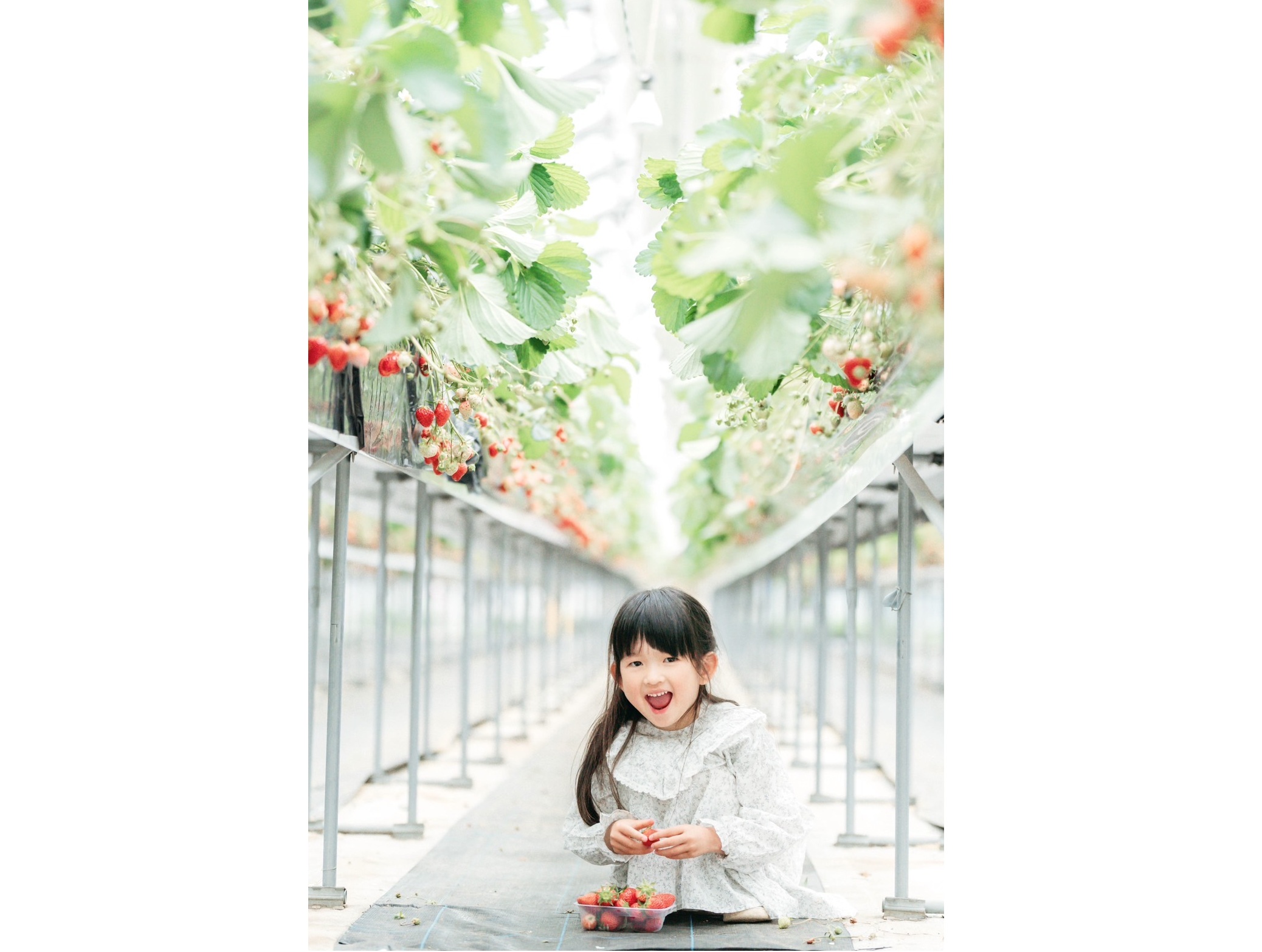 IMG_0279_余白あり