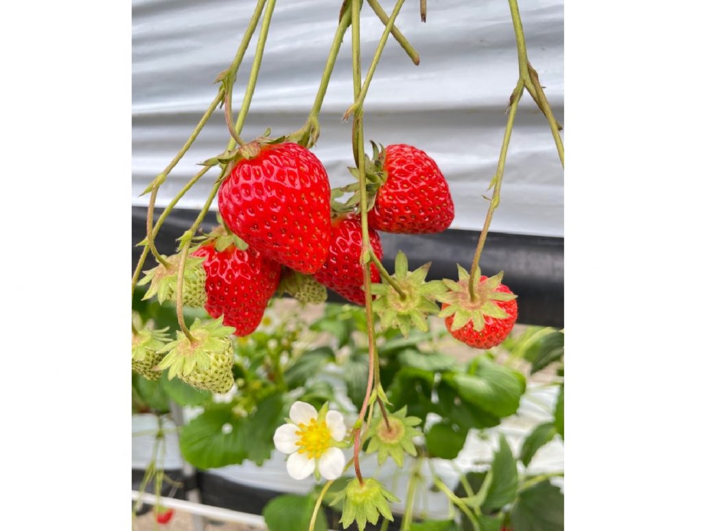 IMG_2068_余白あり