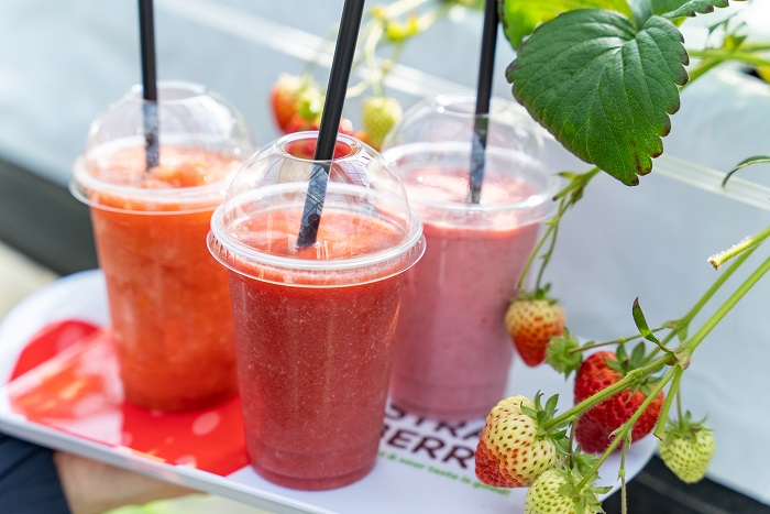 clip-dongurinouen-0218-25