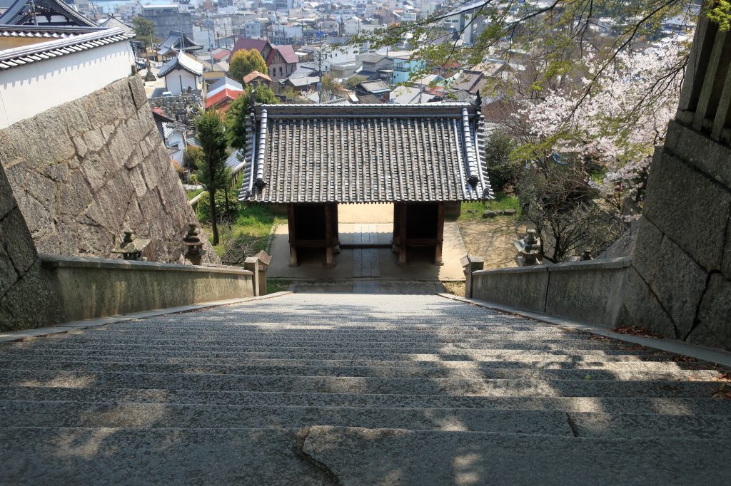 pixta_64779864_M