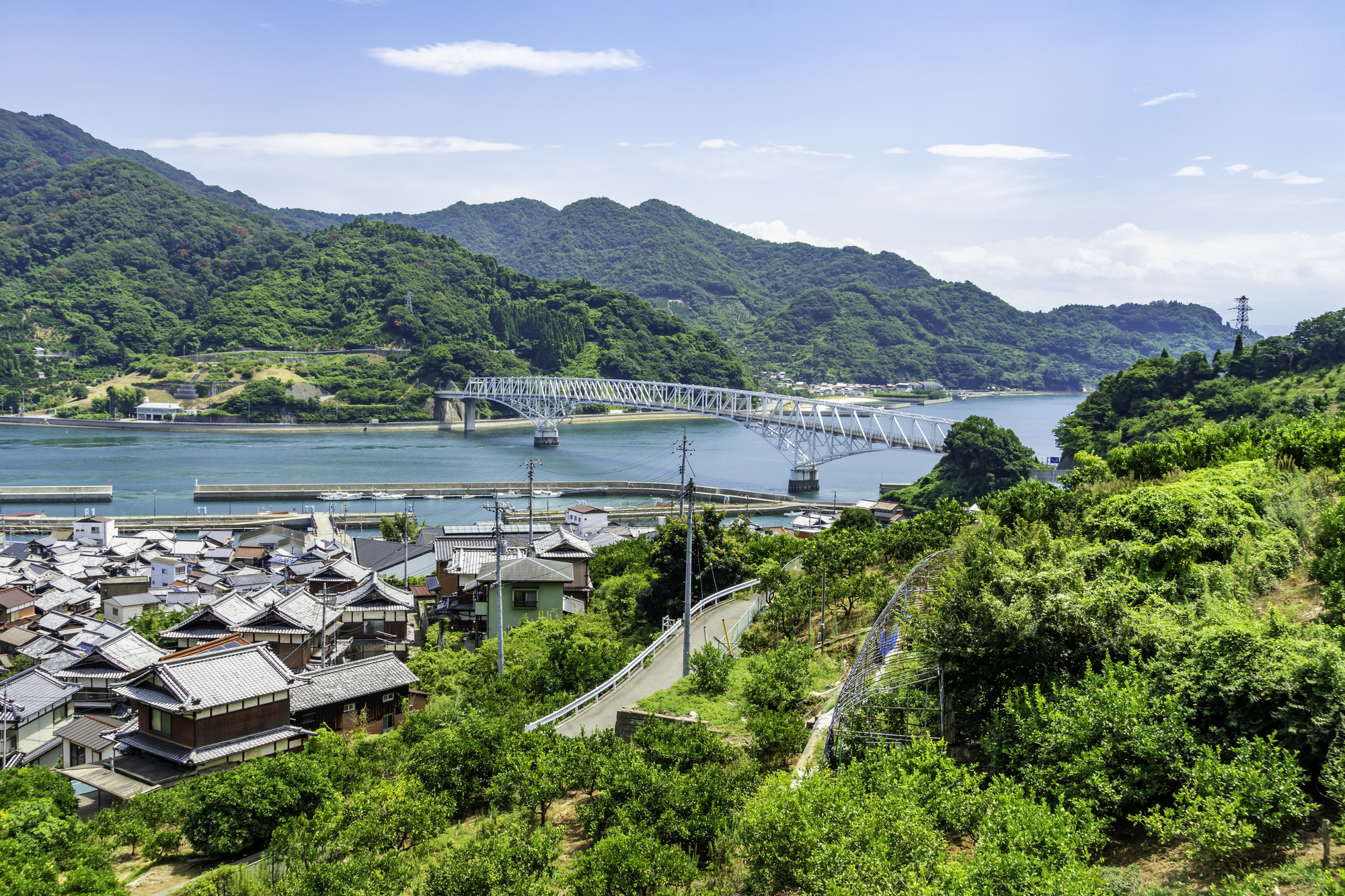 pixta_93515059_M
