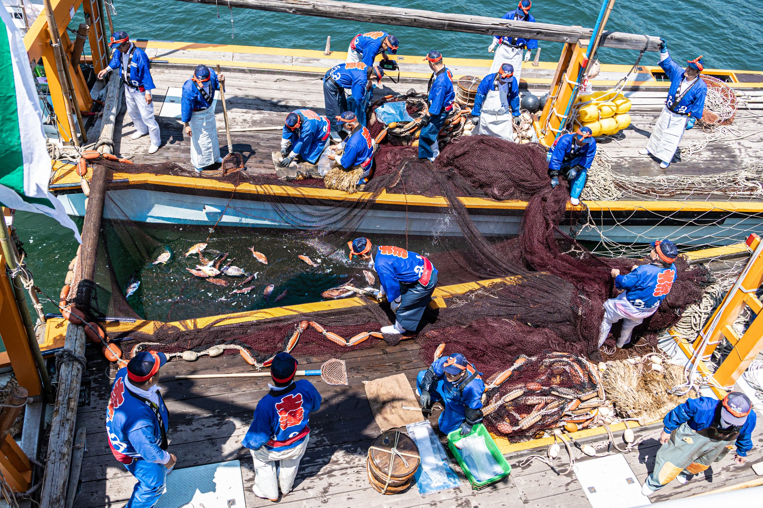 【入選】大漁(橋野昌子)