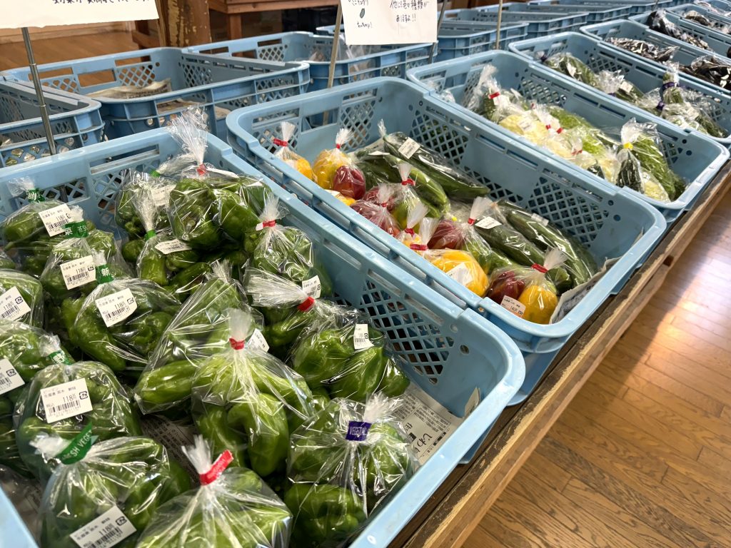 おはよう市内観