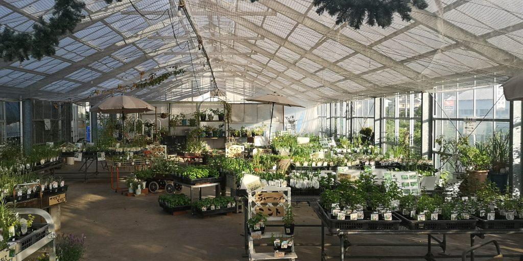 ハーブハウス内観