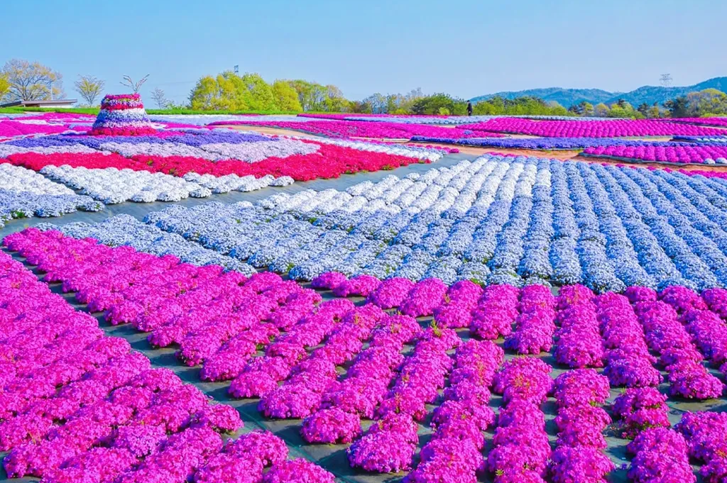 ベストショット