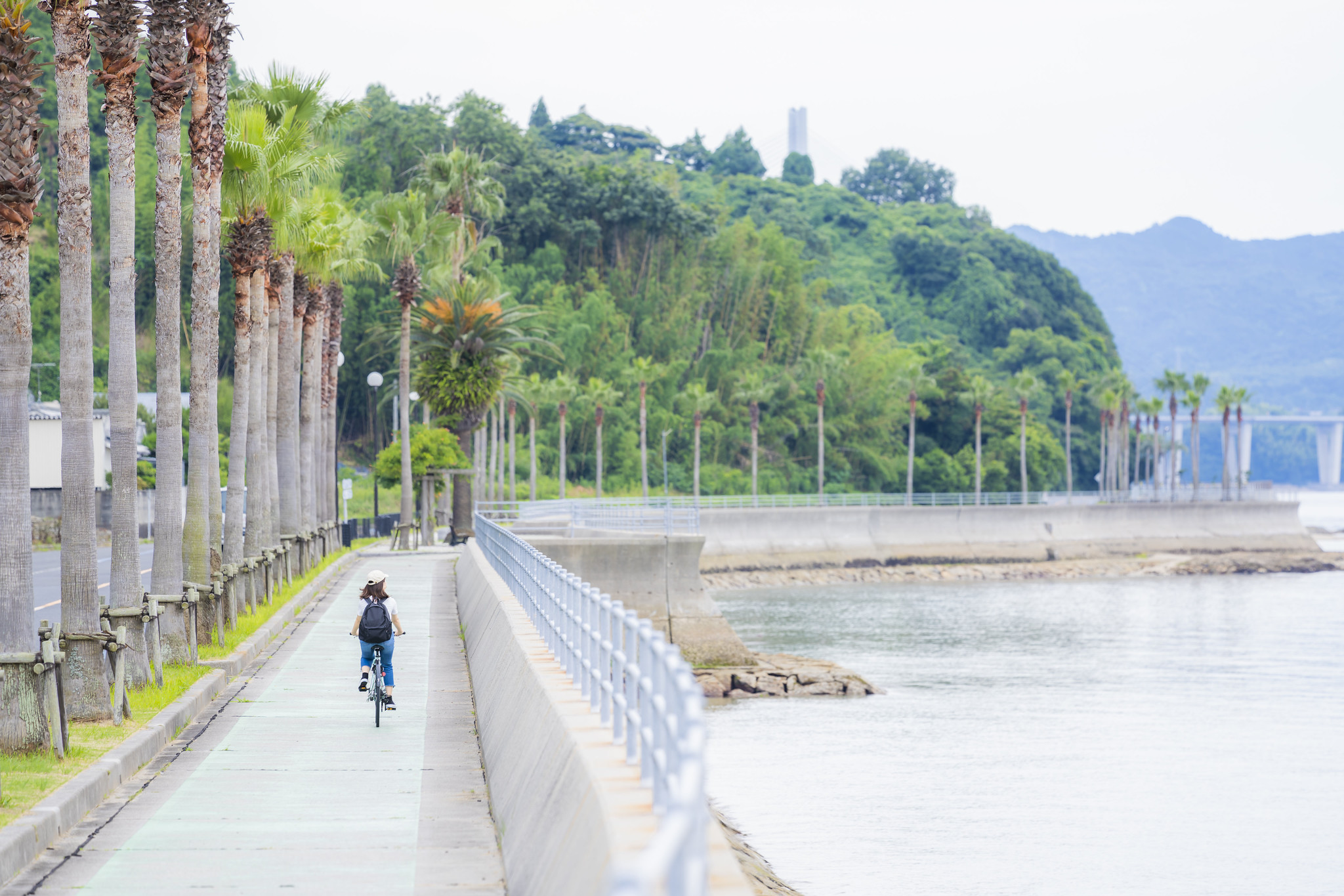 ヤシの木と海を眺めながら「しまなみちょい乗りサイクリング」で島めぐり