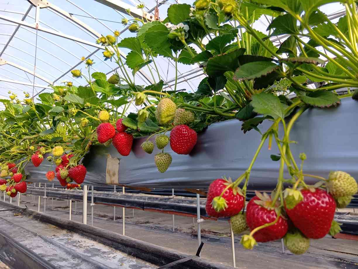 リサイズ250404082919362