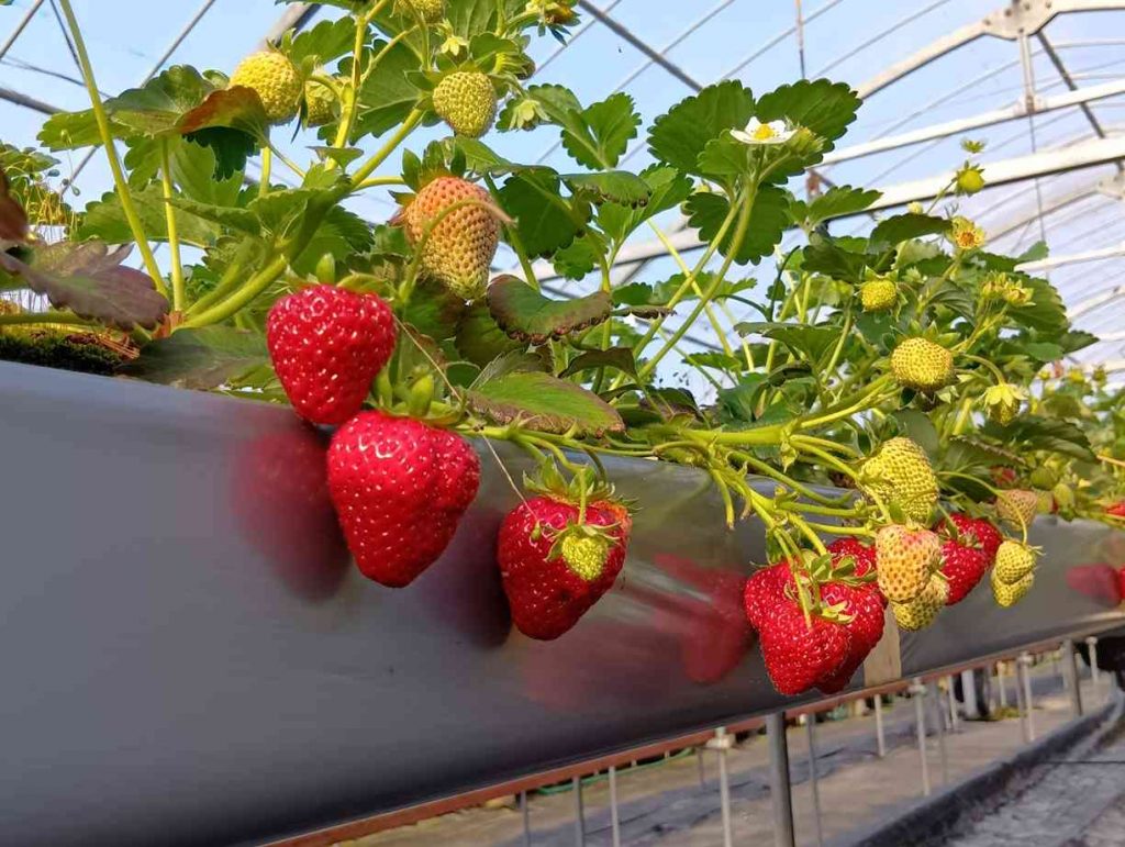 リサイズ250404083314987