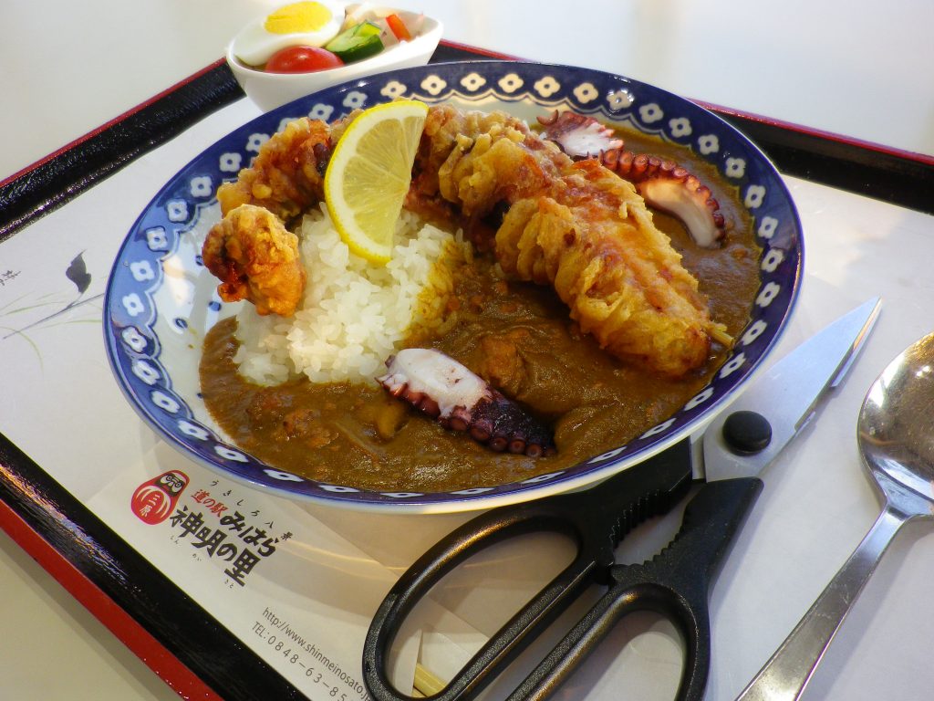 道の駅みはら神明の里_たこ天カレー