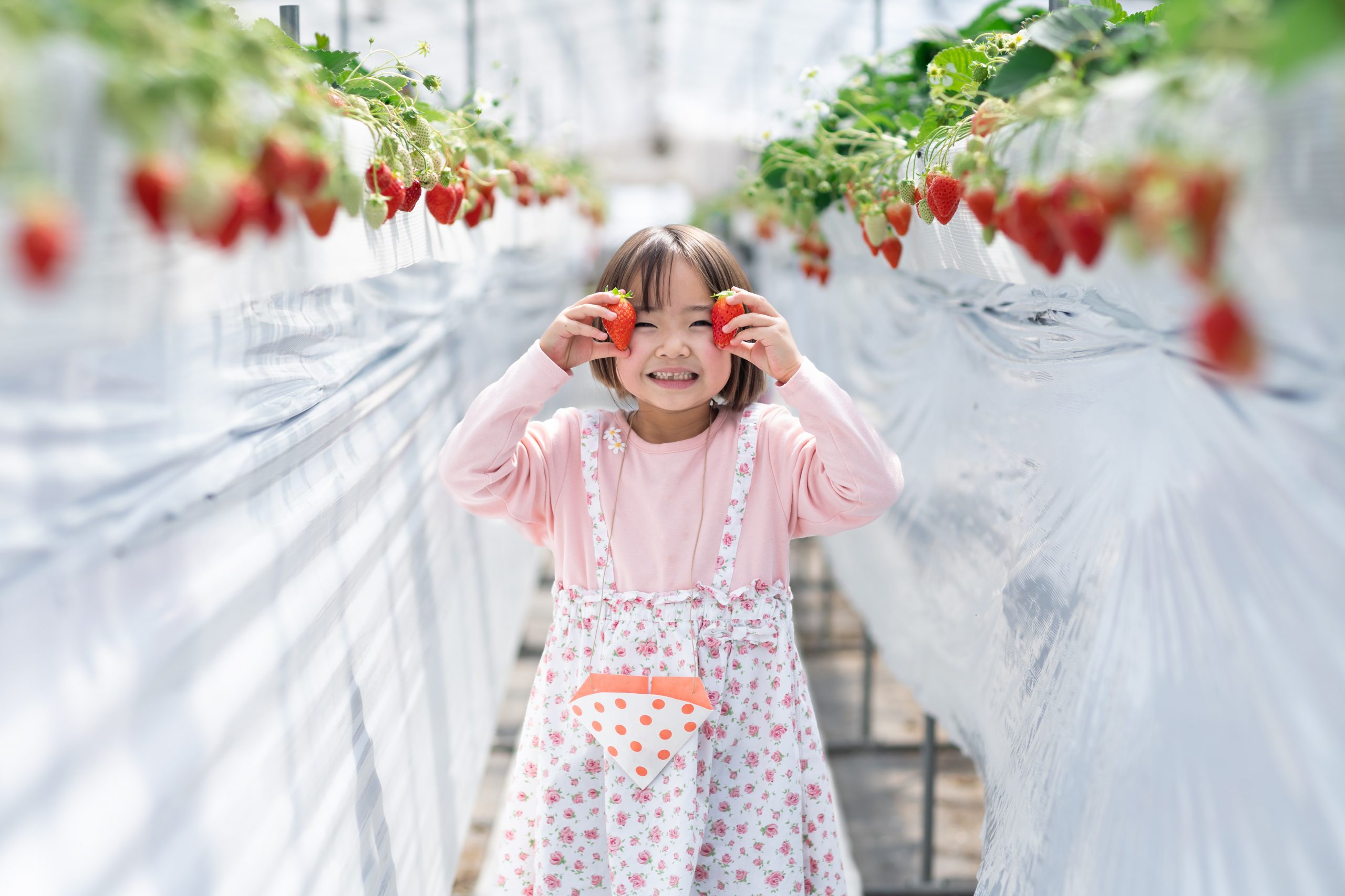 食べ放題_Original