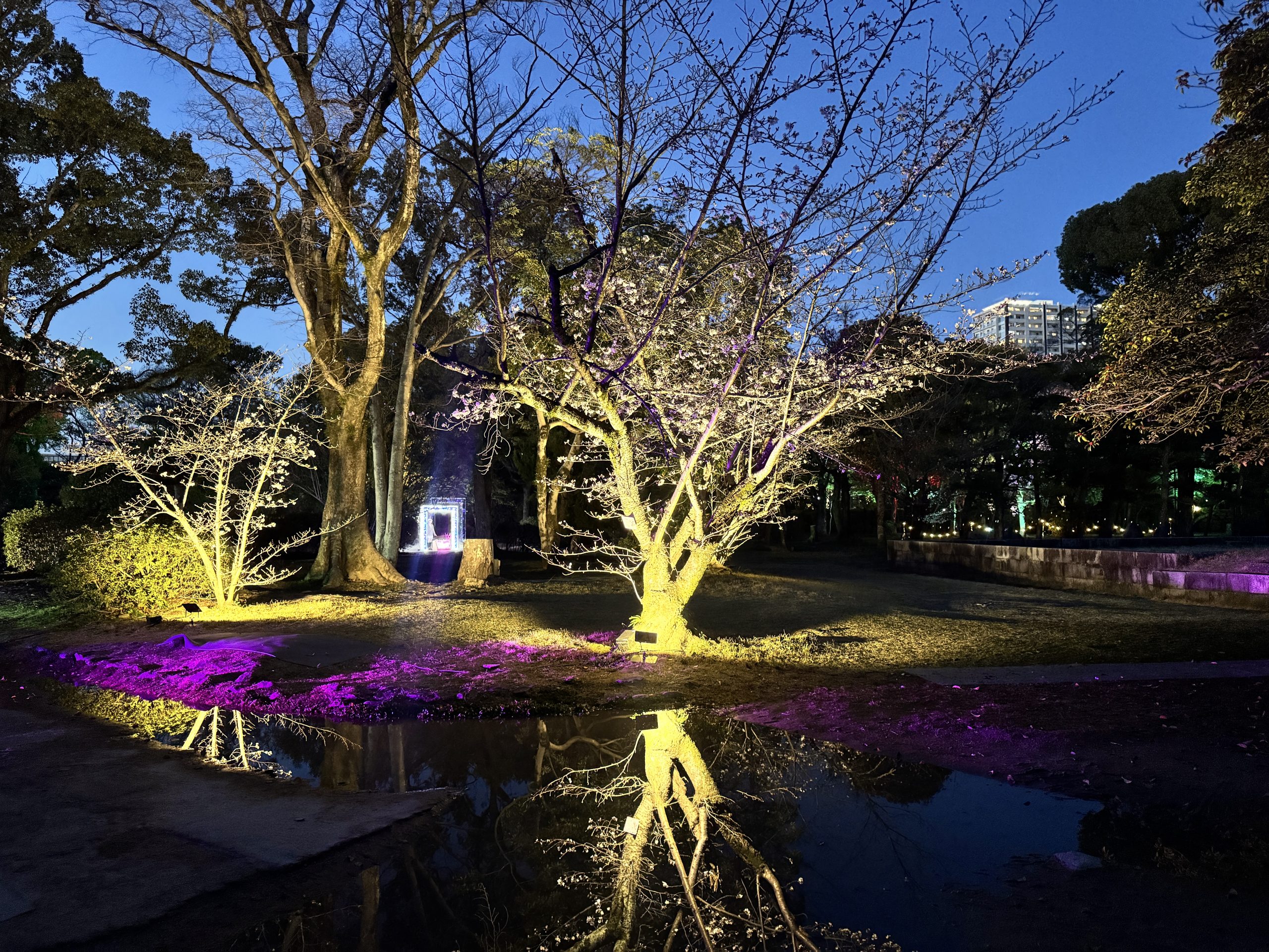 Image_20260327_102304_799