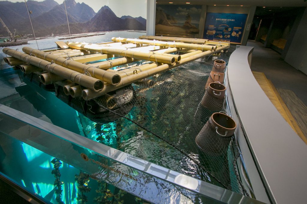 宮島水族館カキいかだ