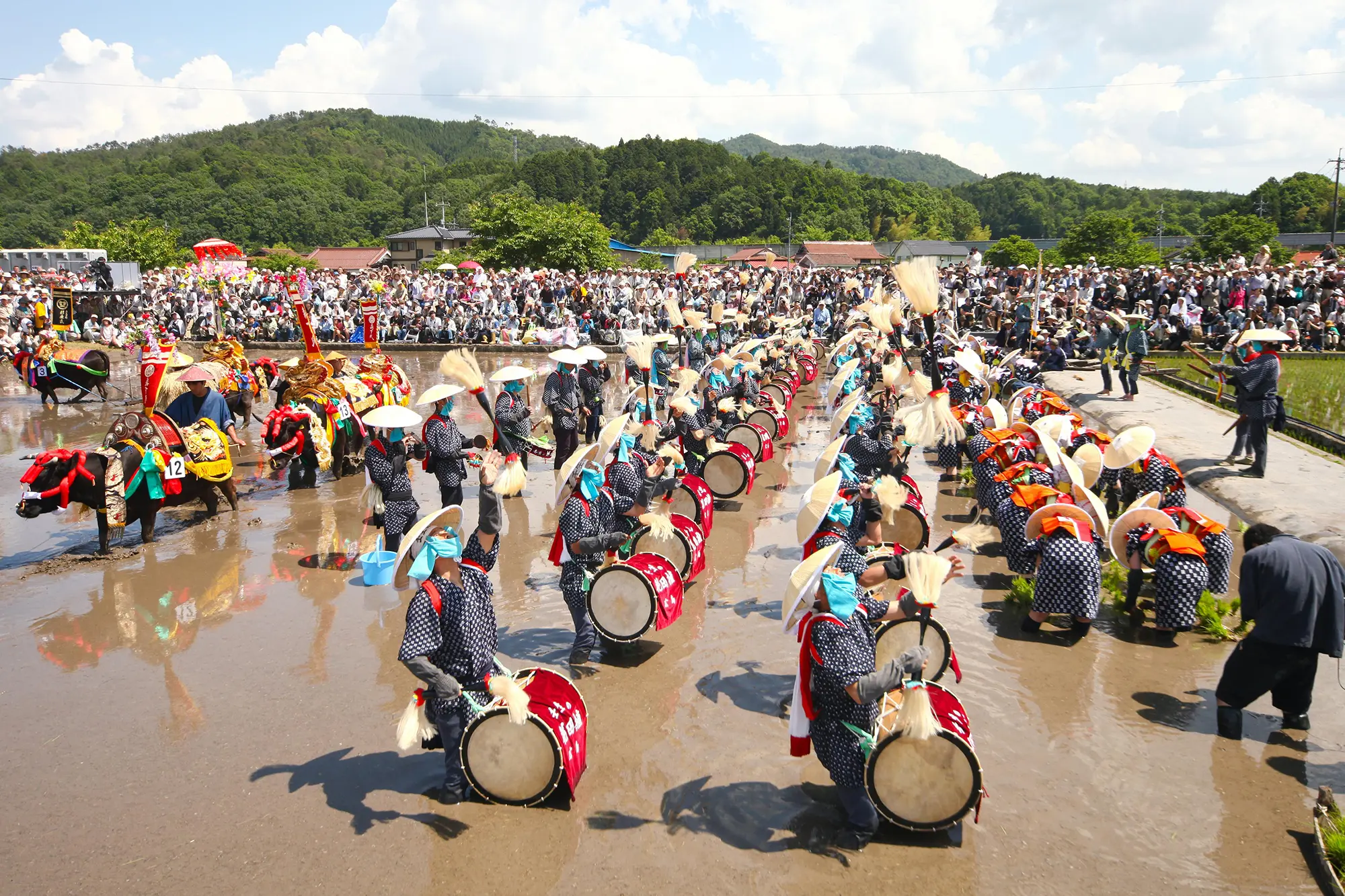 hanataue02