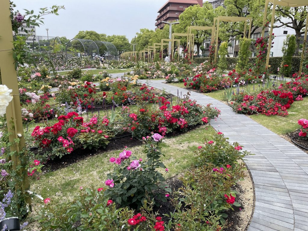 ばら公園