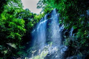 広島県で取りに来てくれる方限定です。 旬情報 | 【公式】広島の観光・旅行情報サイト Dive! Hiroshima
