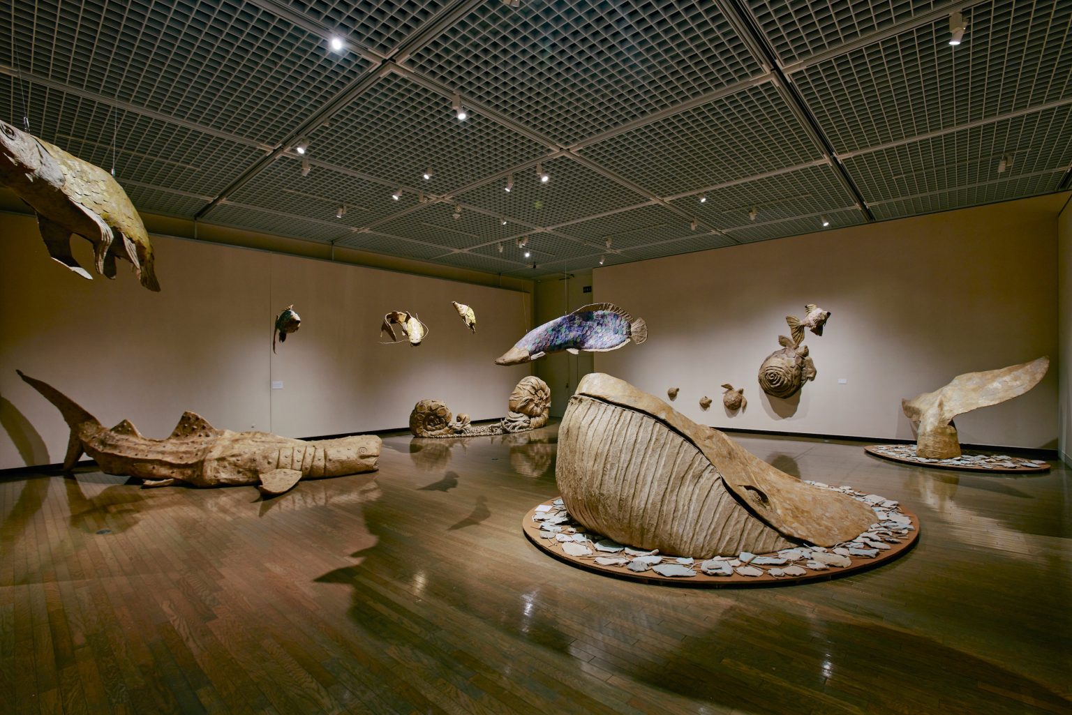 ウッドワン美術館開館30周年記念事業～ 造形作家 玉田多紀 ダンボール
