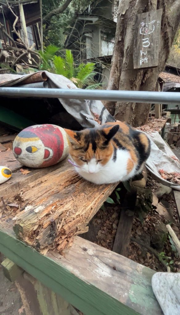 02尾道坂道エリア・千光寺公園-5